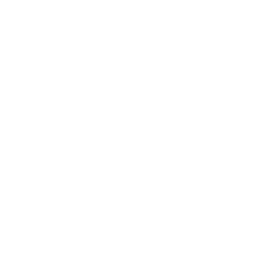 Logo Luxury Style Holdings