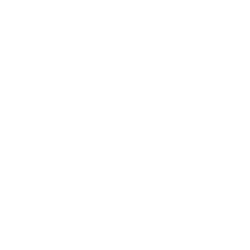 Logo Style Management